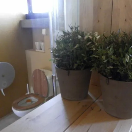 Lemon Tree Hostal *