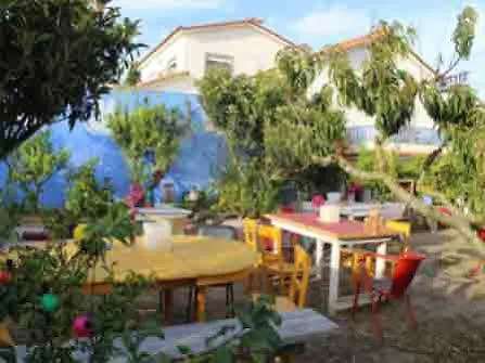 Lemon Tree Hostal Areia Branca